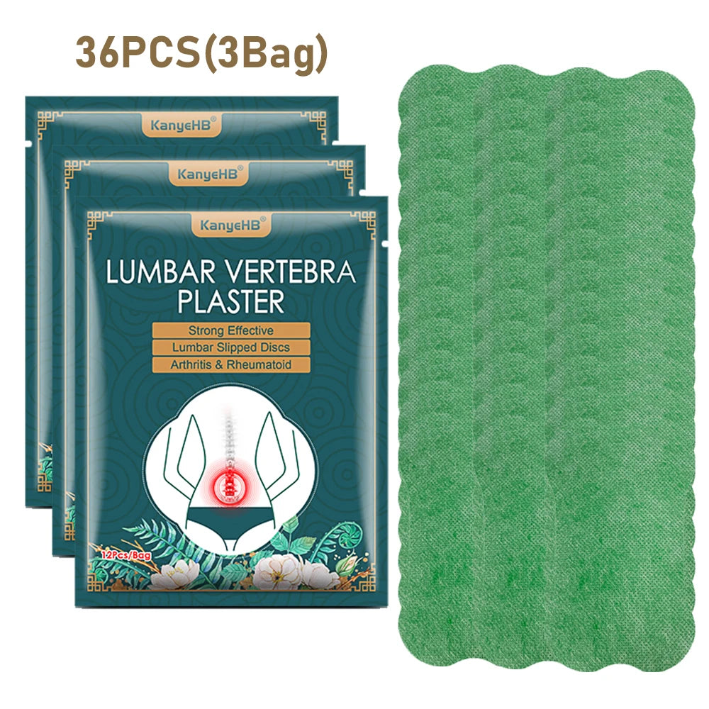 Wormwood Lumbar Health Care Patch