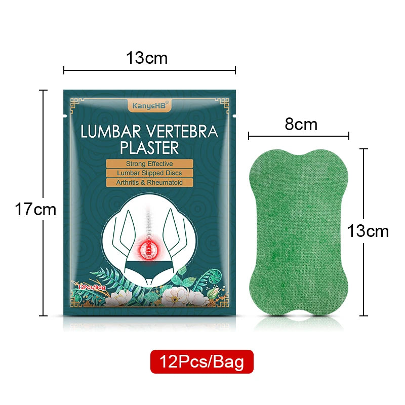 Wormwood Lumbar Health Care Patch