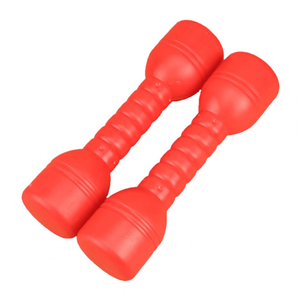 1 Pair of Water Dumbbells. Weight Loss Exercise Equipment for Women/kids. Comprehensive Home Fitness - twobusybodies