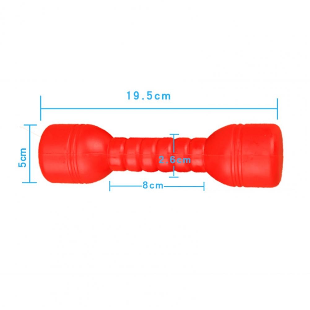 1 Pair of Water Dumbbells. Weight Loss Exercise Equipment for Women/kids. Comprehensive Home Fitness - twobusybodies