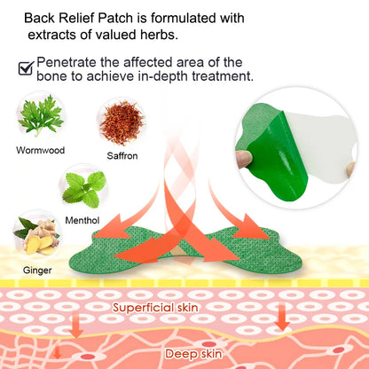 Wormwood Lumbar Health Care Patch