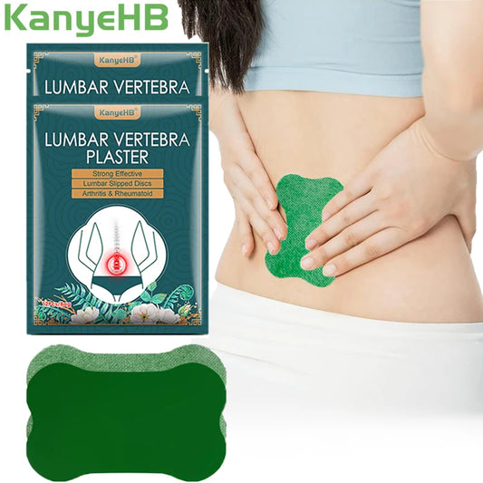 Wormwood Lumbar Health Care Patch