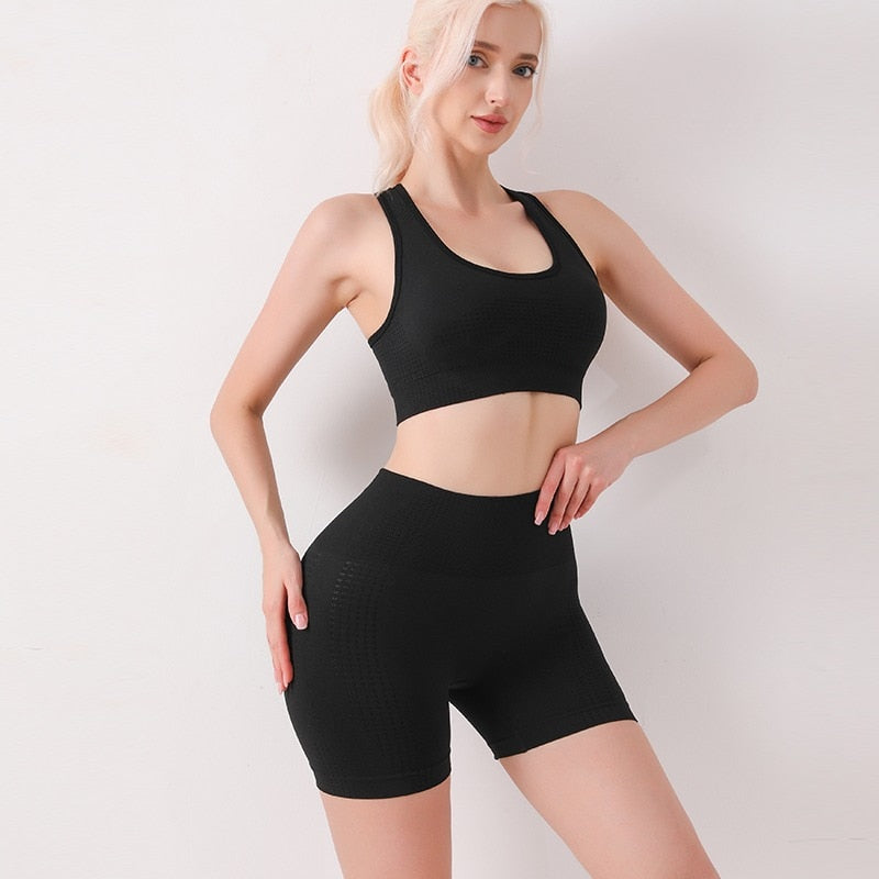 Women's Yoga apparel. Seamless,  Sports Bra and high waist short set. - twobusybodies