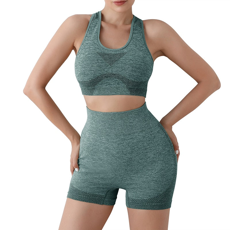 Women's Yoga apparel. Seamless,  Sports Bra and high waist short set. - twobusybodies