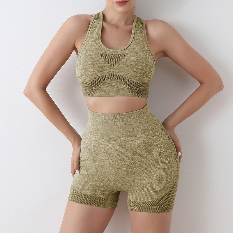 Women's Yoga apparel. Seamless,  Sports Bra and high waist short set. - twobusybodies