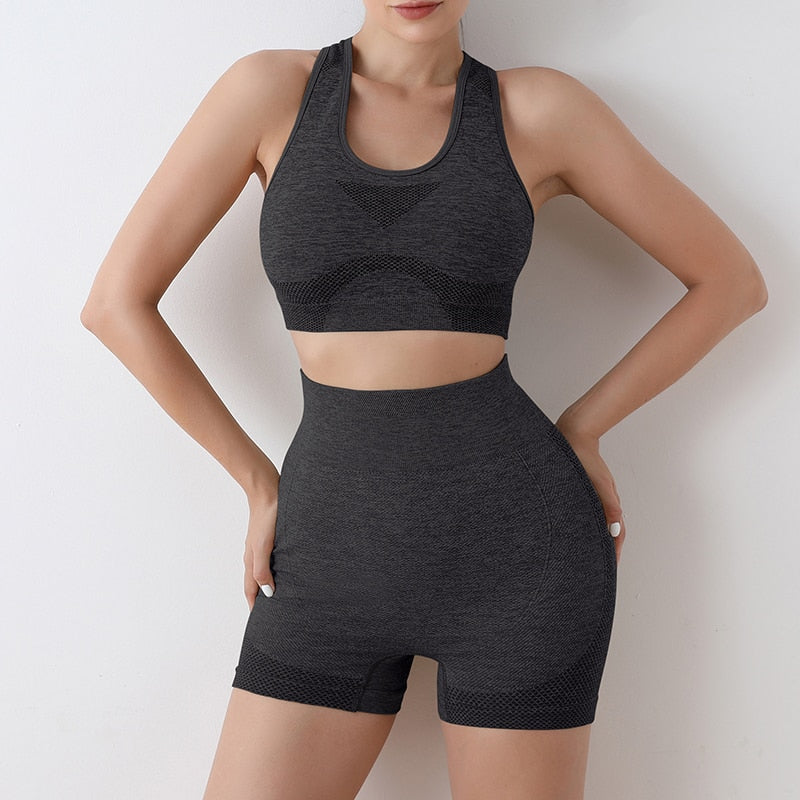 Women's Yoga apparel. Seamless,  Sports Bra and high waist short set. - twobusybodies